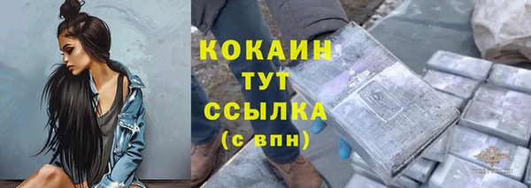 амф Елизово