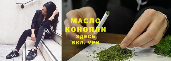 jwh Ельня