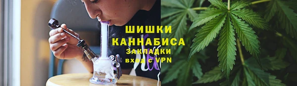 дмт Елабуга