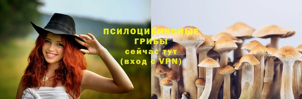 дмт Елабуга