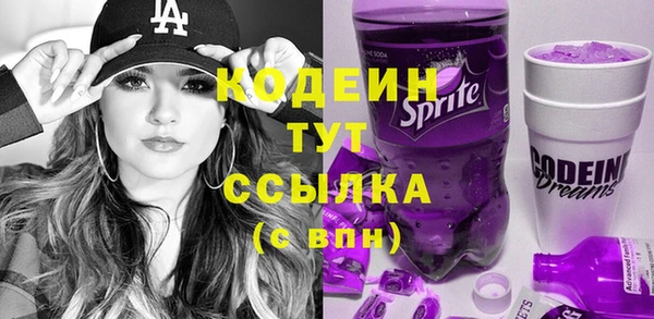 дмт Елабуга