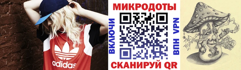 Галлюциногенные грибы GOLDEN TEACHER  Купить  Кинель 